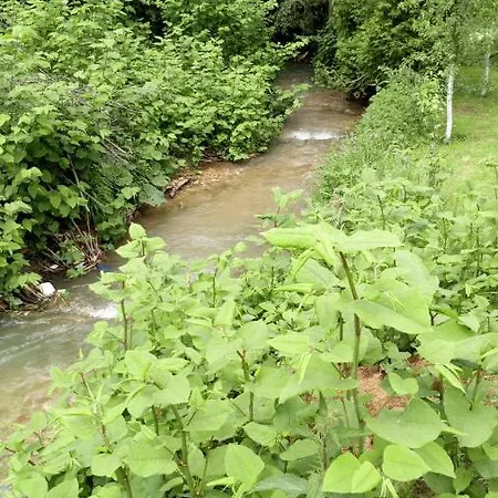 Cottage Forest Stream Visoko Exterior photo