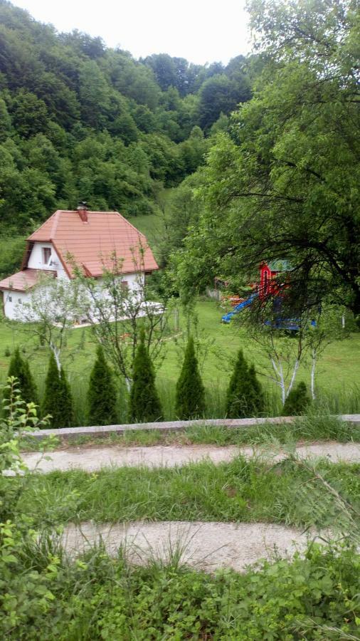 Forest Stream Visoko